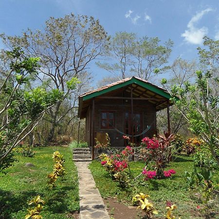 Finca Montana Sagrada Mérida Værelse billede