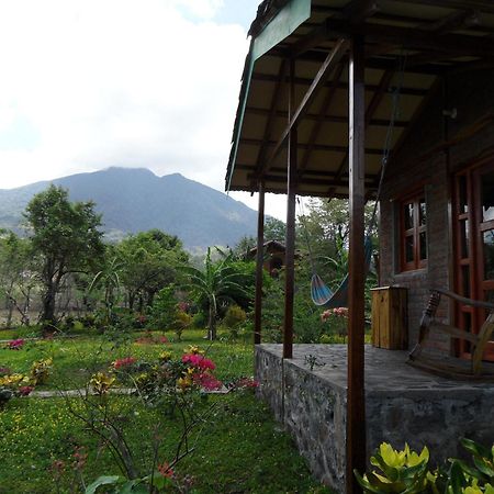 Finca Montana Sagrada Mérida Værelse billede