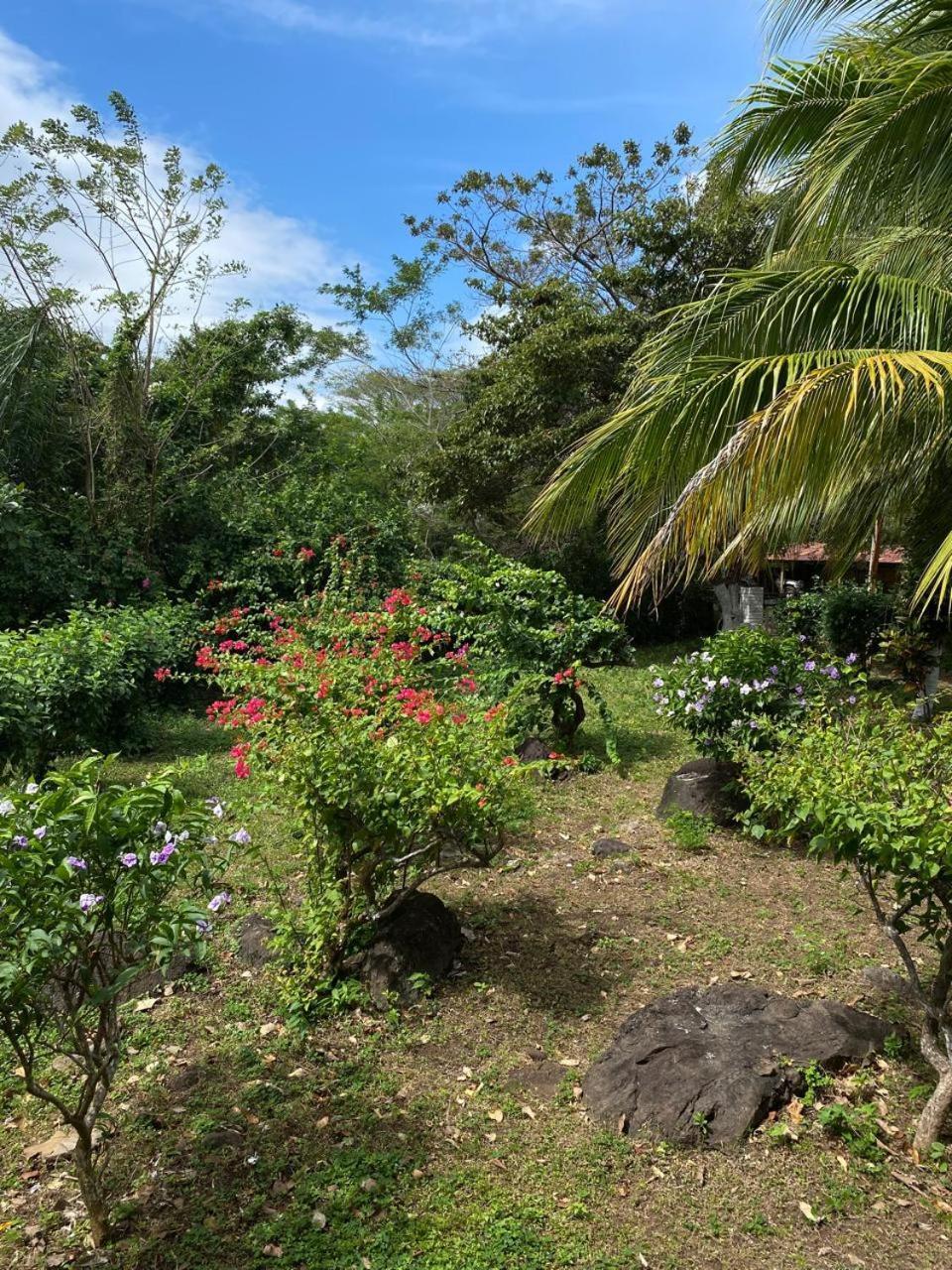 Finca Montana Sagrada Mérida Eksteriør billede