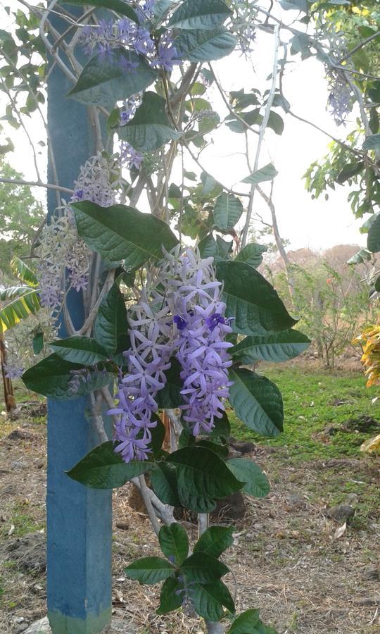 Finca Montana Sagrada Mérida Eksteriør billede