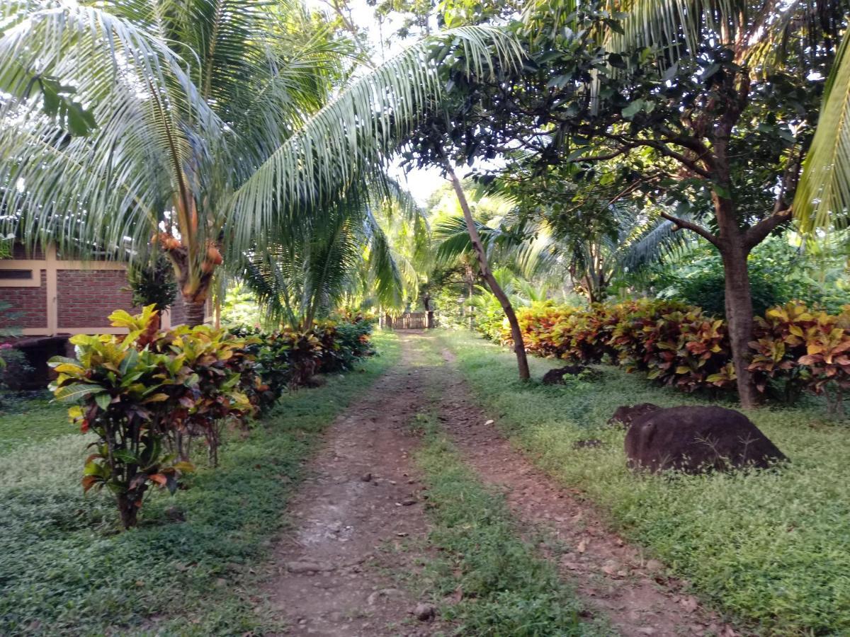 Finca Montana Sagrada Mérida Eksteriør billede