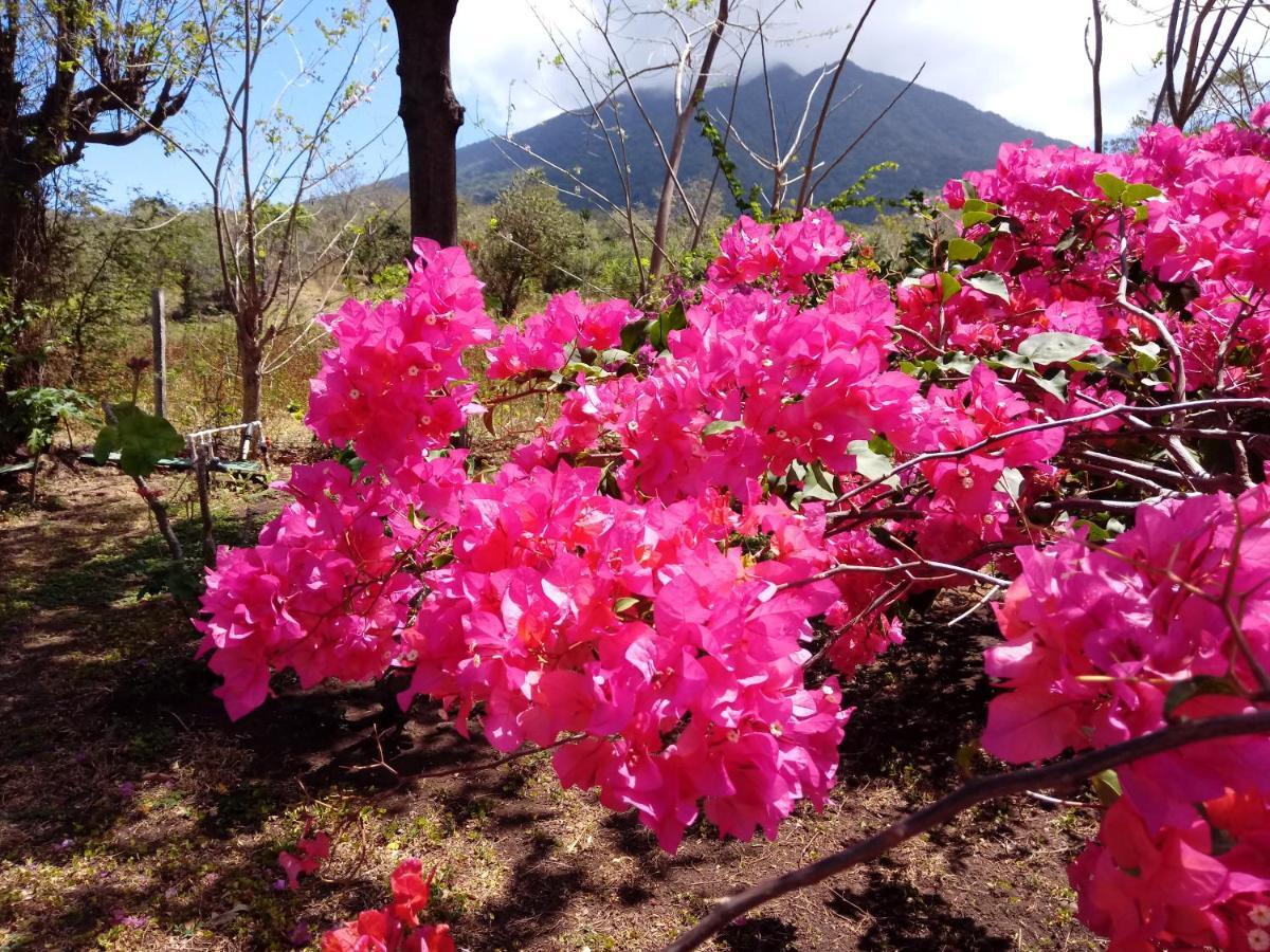 Finca Montana Sagrada Mérida Eksteriør billede
