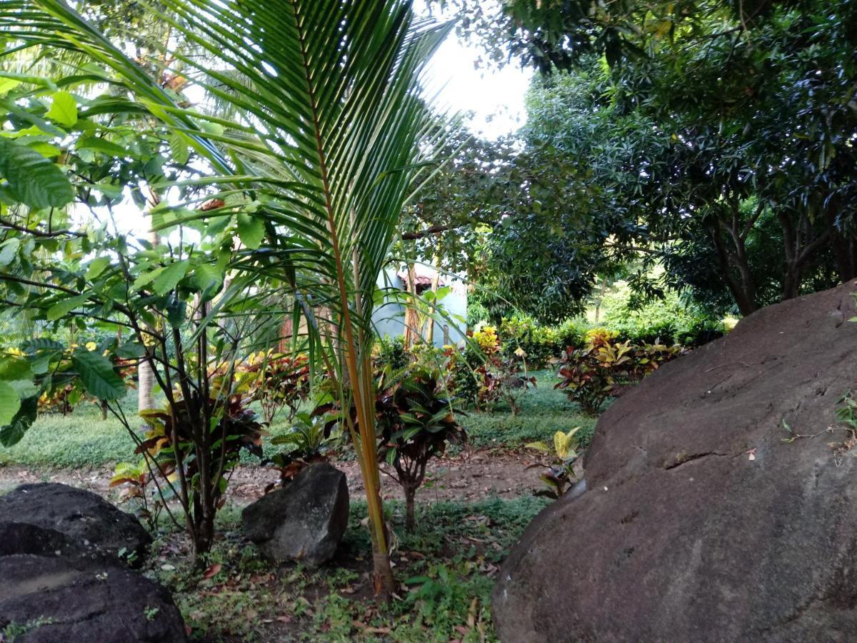 Finca Montana Sagrada Mérida Eksteriør billede